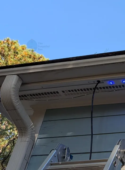 Consider this a placeholder; I need to find a better quality picture.